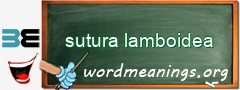 WordMeaning blackboard for sutura lamboidea